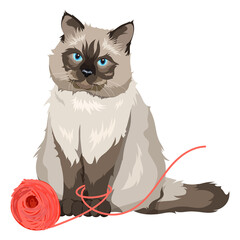 Grumpy cat png playing with yarn, pet illustration sticker, transparent background