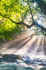 熊本・菊池渓谷の光芒