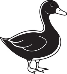 duck on white background
