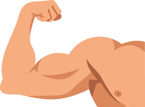 Muscular flexed arm showing strength and fitness in vector illustration 