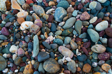 Pebbles on the Beach