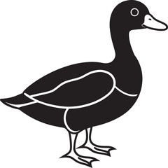 vector illustration of a duck