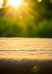 Sunlit Surface Texture: A textile texture bathed in the bright glow of the sun's rays, capturing the warm ambiance of a sunny day and adding depth and visual interest to the image.