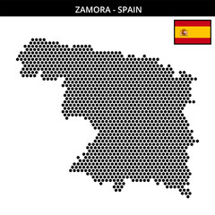 Medium hexagonal dotted map of zamora in Spain