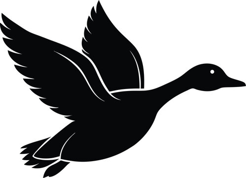 silhouette of a duck