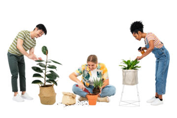 Png plant parents mockup taking care of their houseplants