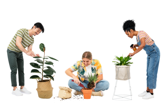 Png plant parents mockup taking care of their houseplants - Powered by Adobe