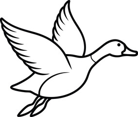 vector illustration of a duck