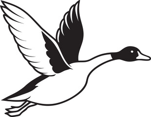 white duck isolated on black