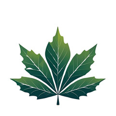 Fototapeta premium logo flower