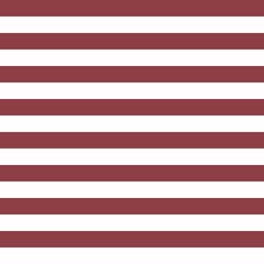 Fototapeta premium striped background 