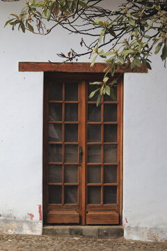 Puerta de madera y vidrios con &aacute;rbol