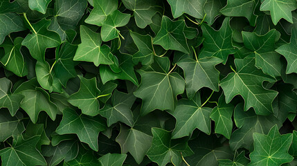 Close Up View Of Lush Green Leaves With Golden Sparkle