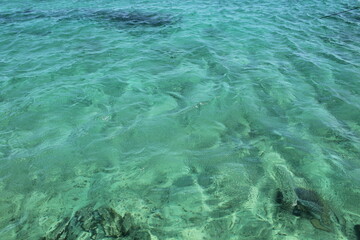 Gulf of Mexico Waters from the Catamaran