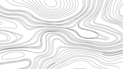 Topographic contour map. similarcartography illustration.  Business concept. Fish Fillet Texture, Salmon fillet texture, fish pattern. paper texture
