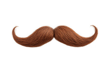 Realistic brown mustache png image, facial hair, man, gentleman, style, fashion, accessory, costume isolated on transparent background
