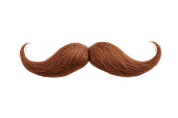 Realistic brown mustache png image, facial hair, man, gentleman, style, fashion, accessory, costume isolated on transparent background