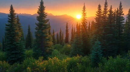 Sunset over Mountain Range with Silhouetted Coniferous Forest