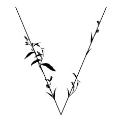 Capital letter V with floral motifs. Botanical alphabet with herbs and wildflowers. Blooming branches of Polygonum plant. Knotweed or Smartweed flower. Black silhouette on white background.