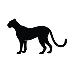 Fototapeta premium silhouette of a lion