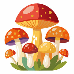 Illustration of mushrooms on a white background showcasing various colors and potentially used for culinary or nature themed designs