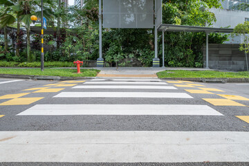 Zebra crossing on Orchard Road with lush greenery and urban backdrop