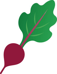 beetroot leaf vector on white background  