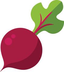 beetroot slice  vector on white background  .eps
