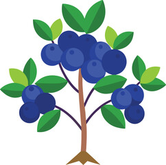 blueberry bush  vector on white background  