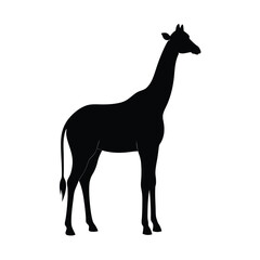 Obraz premium giraffe silhouette vector