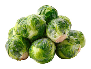 Fototapeta premium Harvesting fresh brussels sprouts local farm food natural view isolated on transparent background
