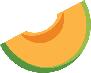 cantaloupe slice  vector illustration on white 