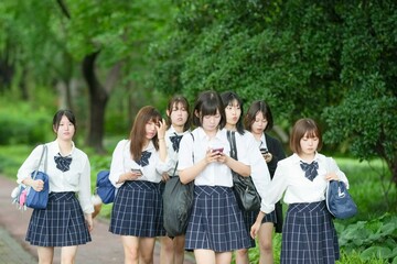 In early summer in Shanghai's Pudong district, seven Japanese high school girls in summer uniforms walk together along a tree-lined city street toward school, smiling as they go, seen from behind.