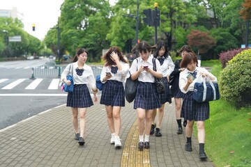 Obraz premium In early June in Pudong, Shanghai, seven Japanese high school girls in summer uniforms walk together down a city street, smiling and chatting as they head to school under the soft morning sunlight.