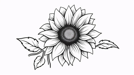 Fototapeta premium black and white flower