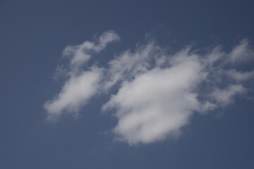 Moving Clouds over Distant Trees