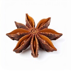 Anise Seeds on Isolated White Background – Star-Shaped Seed with Licorice Flavor and Bright Studio Lighting