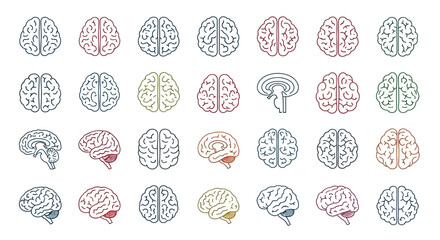 Collection of Human Brain Illustrations Line Art Icons and Designs