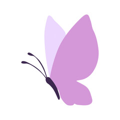Purple butterfly flying on the sky
