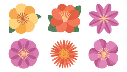 Set of vector colorful flower, Vector flower set, colorful floral vector set.