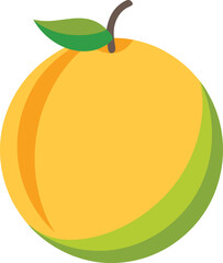 honeydew melon  vector on white background 