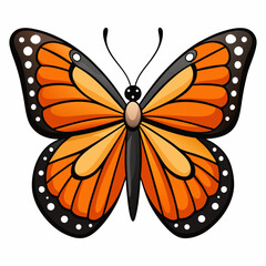 butterfly vector illustration