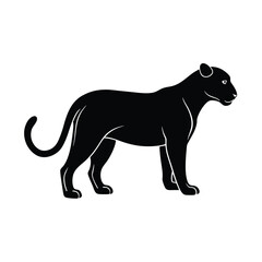 Fototapeta premium black panther on a white background