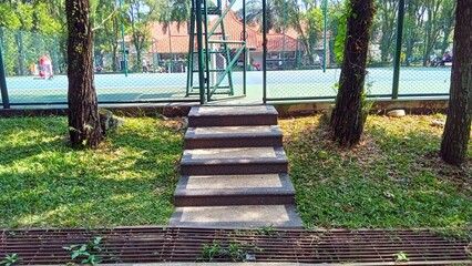Outdoor Staircase Amid Trees