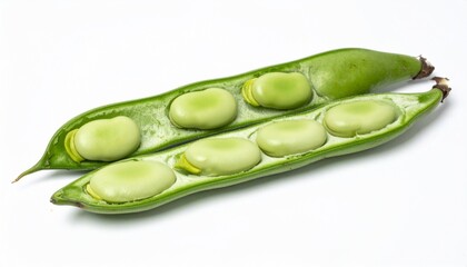 Broad Beans on Isolated White Background &ndash; Large Flat Pods with Pale Green Seeds and Rustic Presentation