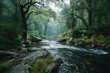 Obraz premium Describe the journey of a river flowing through a forest