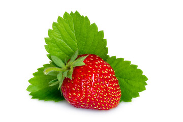 Natural strawberries with leaves on a white background. One organic strawberry close-up.