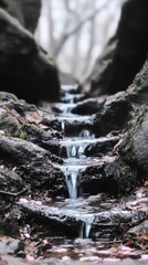Cascading stream in a rocky gorge