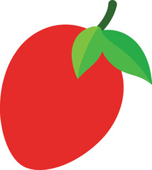 miracle fruit  vector illustration on white 