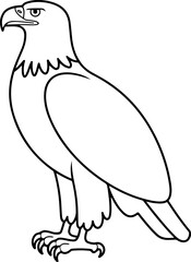 Eagle line art vector illustration